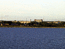 Вид на Палдиски со стороны моря